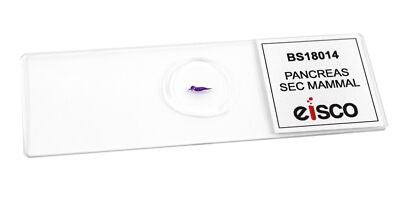 MOBILIS – Bandage de compression pour le genou - Slawner Ortho MOBILIS – Bandage de compression pour le genou - Slawner Ortho