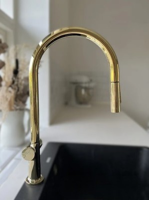 Hansgrohe Talis M54 Küchenarmatur   NEU, Messing poliert, 2-Strahl