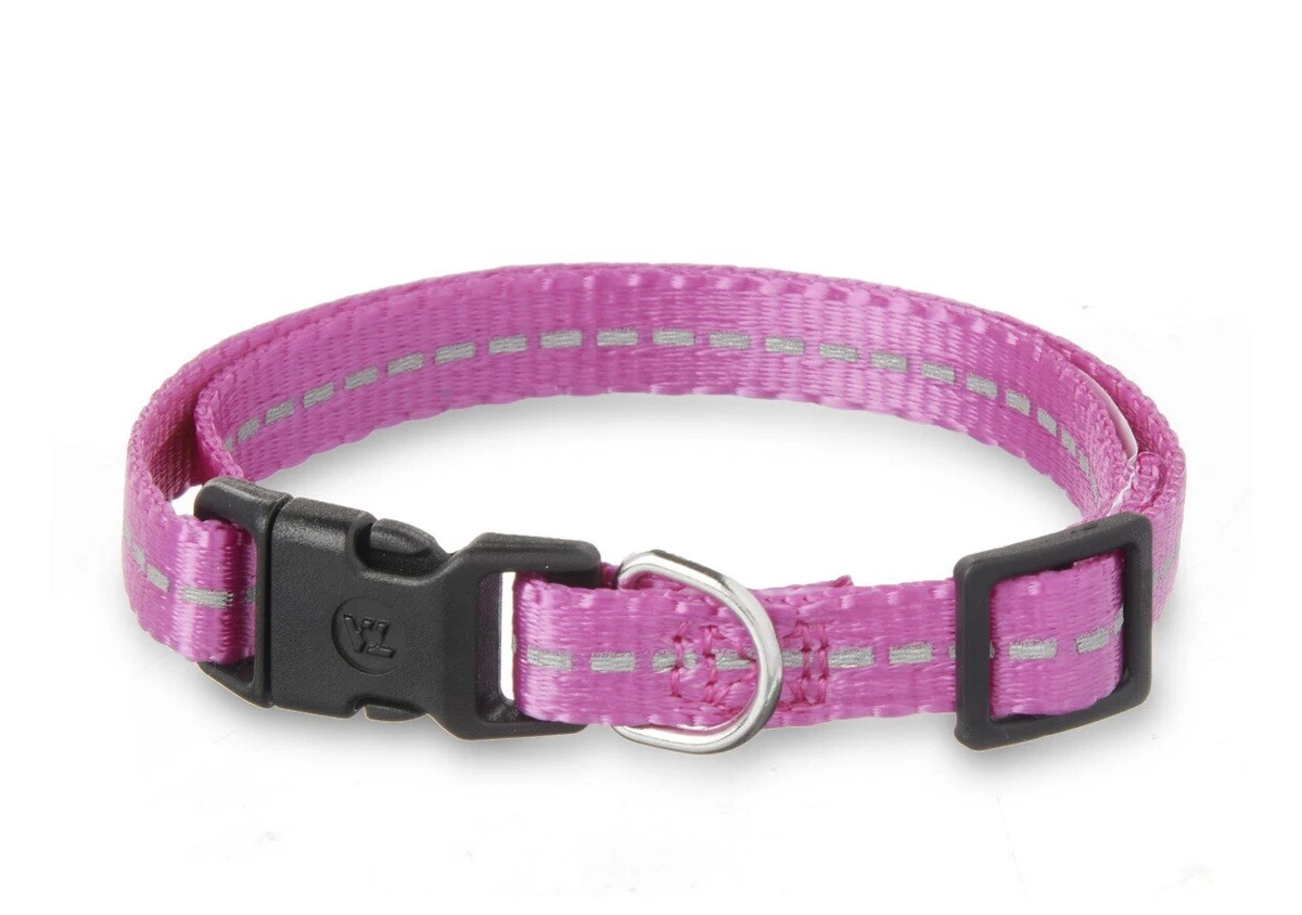 Vibrant life dog clearance harness how to use