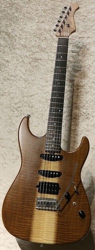 What exactly is this Bacchus? | My Les Paul Forum