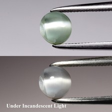  on The Hot Collector