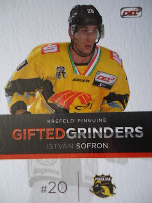 GG06 Istvan Sofron Krefeld Pinguine DEL 2014-15