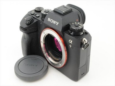 美品　SONY α9 ICLE-9 美品 SONY α9 ICLE-9 Sony Alpha a9 Full-frame Mirrorless