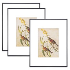 8.5x11 Picture Frame Set of 3, Matte Black Modern Thin Aluminum Metal Photo