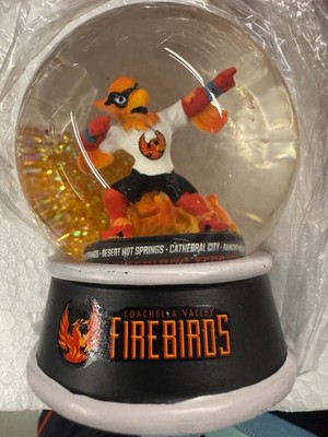 Final Season Game Before Secured Playoffs Globe CVF Firebirds AHL Limited