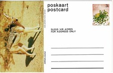 South WestAfrica Postal Papenery Postcard used Całostka Obraz Pocztówka Szakal