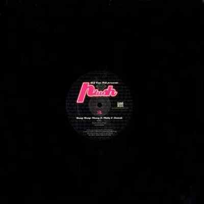 DJ Van Tell Presents Plush Bump Bump Money / Hit The Door Vinyl Single 12inch