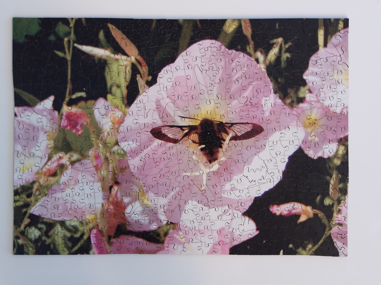 Wentworth Wooden Jigsaw, 500 pieces with no picture. eBay