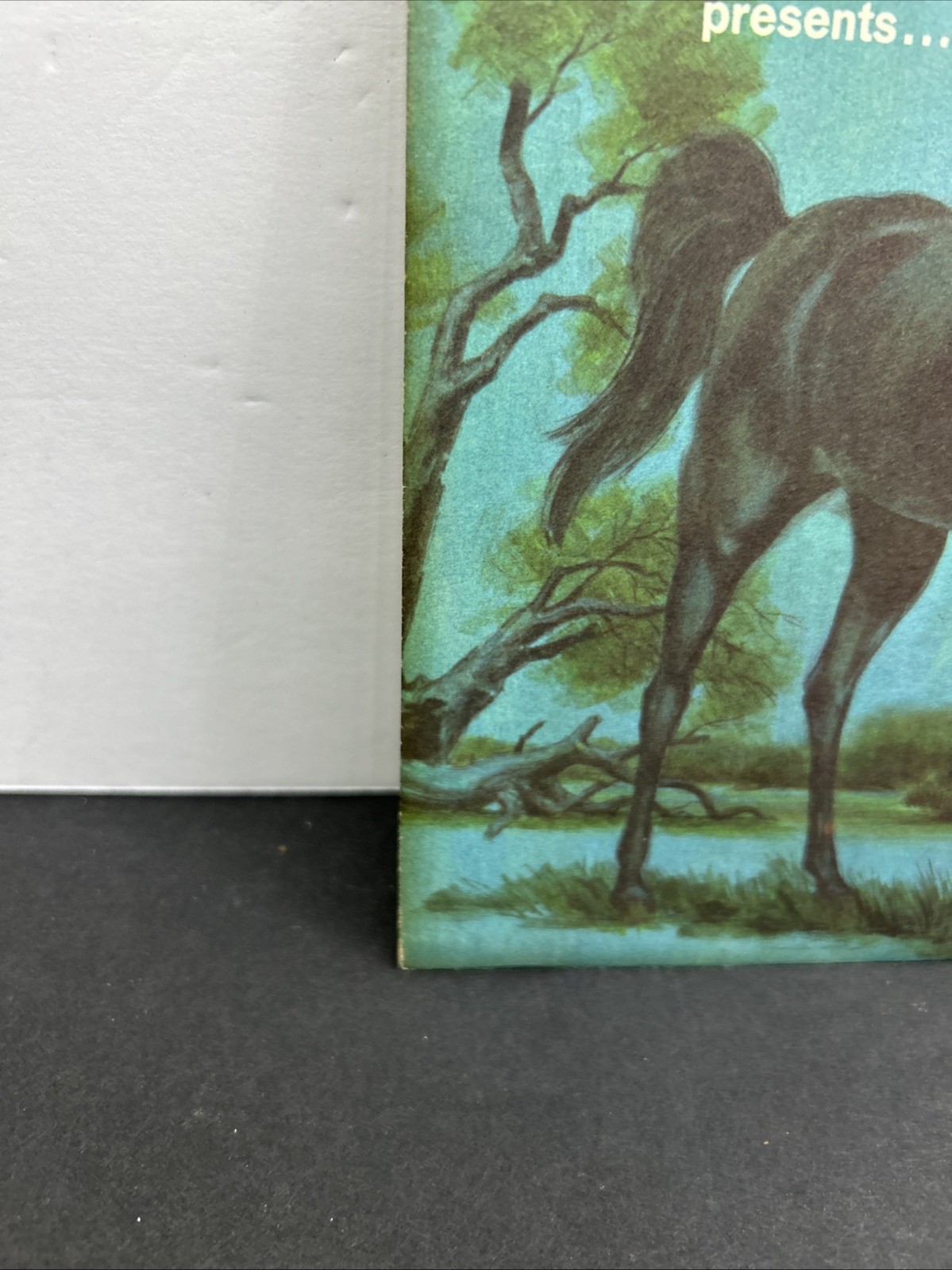 Picture 3 of 18