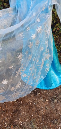 La Reine des Neiges Frozen - Esla 9-10 ans Disney Store Robe Princesse Costume D - Photo 10/10