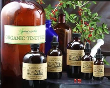 JIAOGULAN Organic Tincture adaptogenic all day energy STRONG Folk Remedy Extract