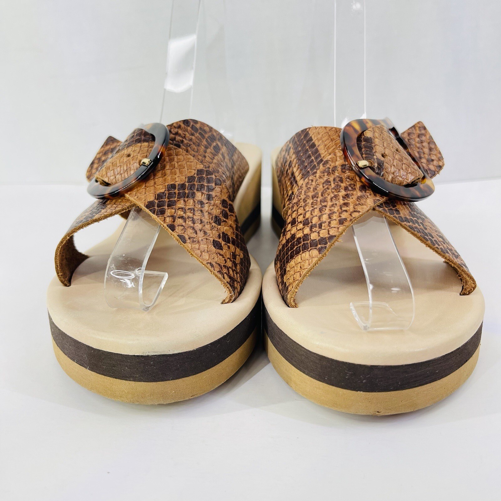 Ancient Greek Brown Thai Python Rainbow Tampa Wed… - image 6