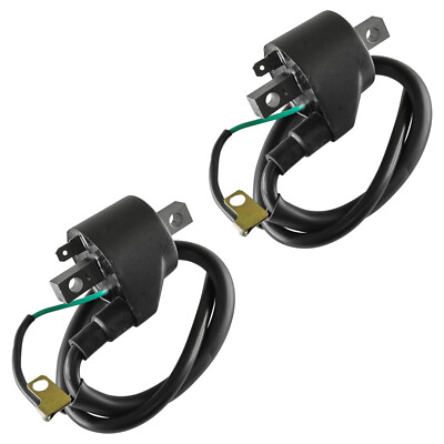 2 Ignition Coils for Hyosung GT250R / Comet GT125