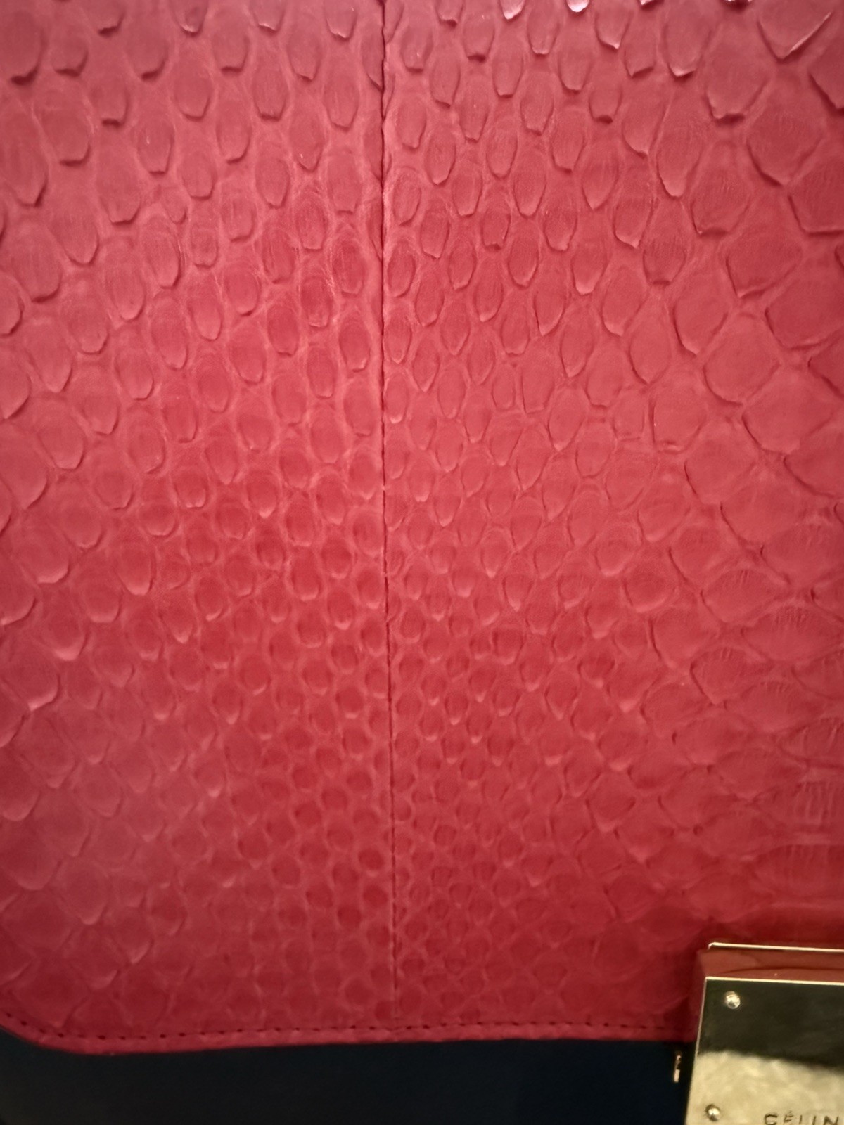 Celine Python Bag - image 5