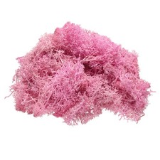 Preserved Reindeer Moss 4 OZ Fake Moss for Crafts Rose Red