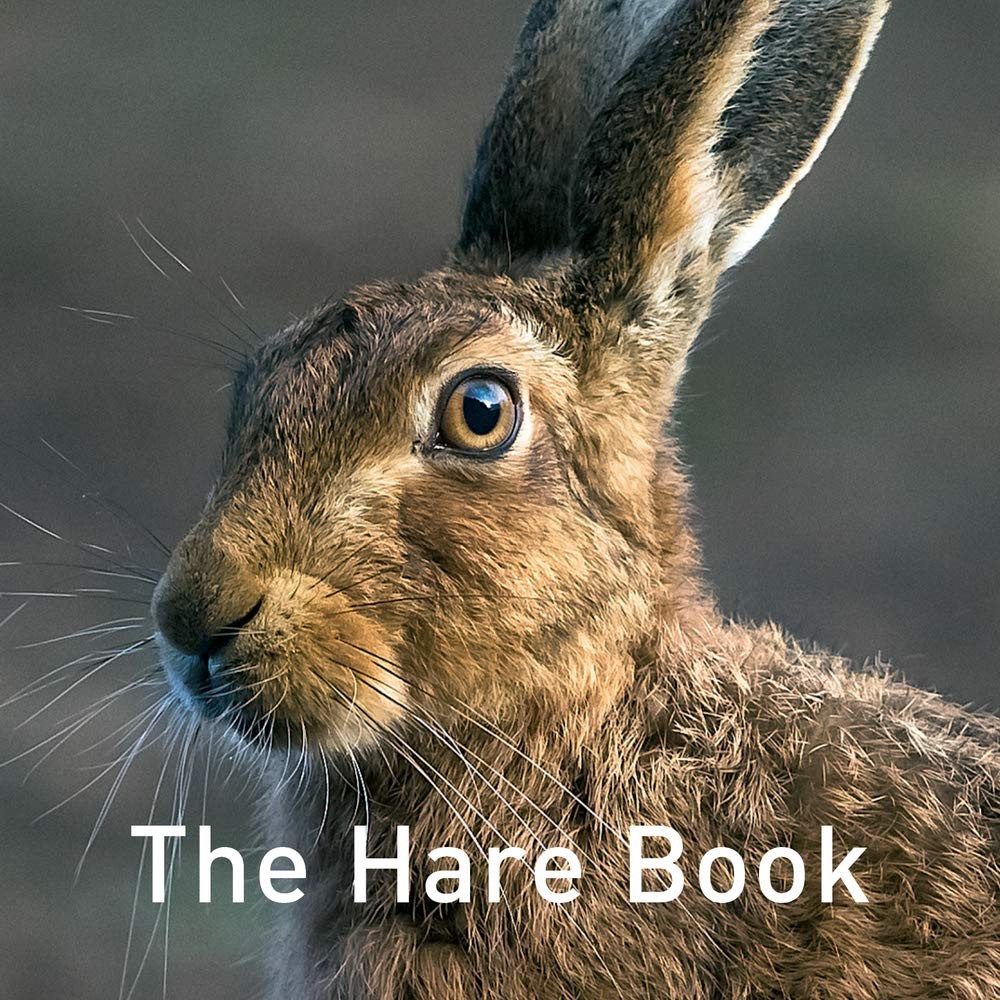 Nature Book Series: The Hare Book by The Hare Preservation Trust NEW - Image 5