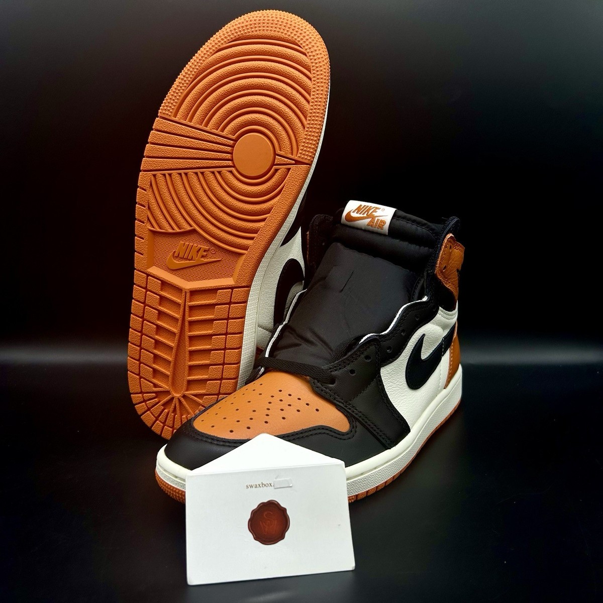 Air Jordan 1 Retro High OG Shattered Backboard 2025 DZ5485