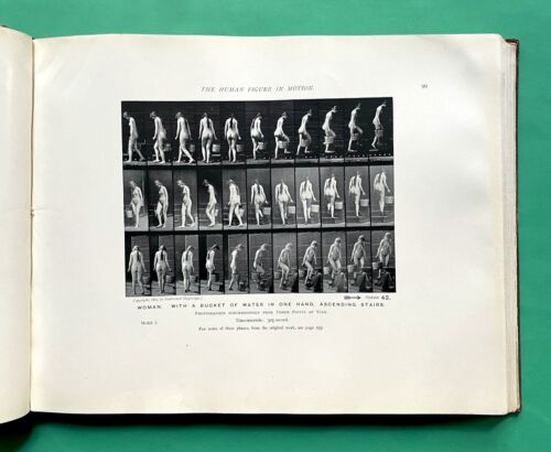 1901 - The Human Figure in Motion - EADWEARD MUYBRIDGE - Photography - RARE 1st - Picture 15 of 24