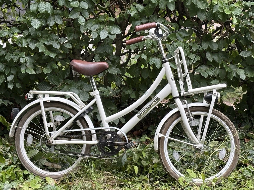 Popal Kinderfahrrad 20 Zoll 1 Gang Modell