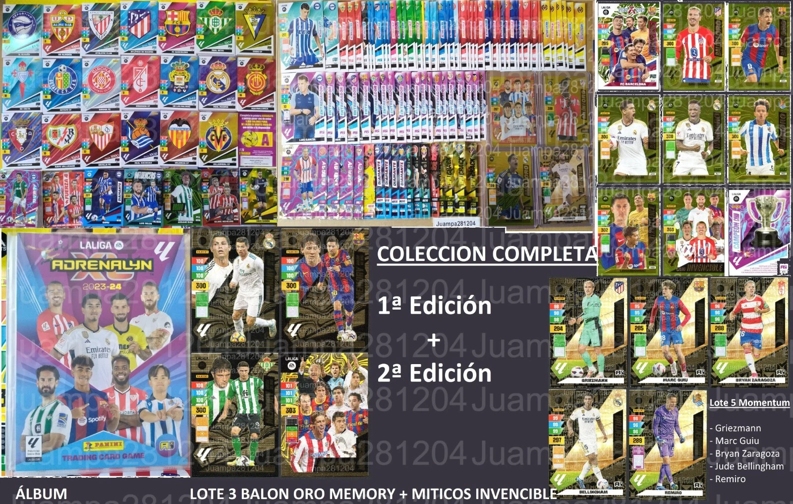 Imagen 12 de 15