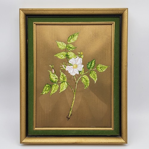 Vintage Watercolor Painting and Sketch Roses in Bloom 1975 ** SIGNED Kirk** - Picture 10 of 12