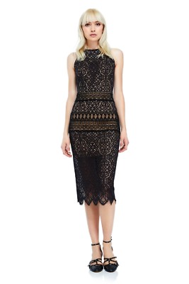 Tadashi Shoji Women's Embroidered Midi Dress - Black Nude - Size 10