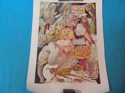 NEW OLD STOCK METAPHYSICAL ANIMALS OWL FISH 16'' x 22 1/2'' POSTER