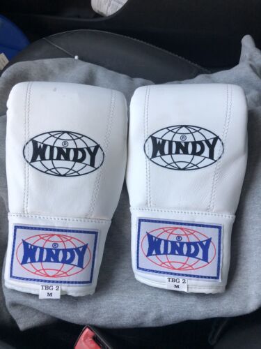 windy boxing gloves