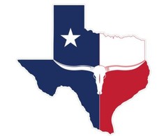 Texas Sticker Decal A607