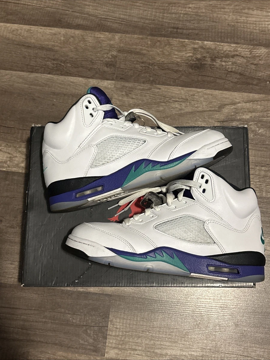 Jordan 5 Retro 2025 Grape for Sale | Authenticity Guaranteed | eBay