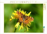 Calvendo Puzzle LandkäRtchen Auf LöWenzahn | 1000 Teile Lege-GrößE 64X48Cm Foto-