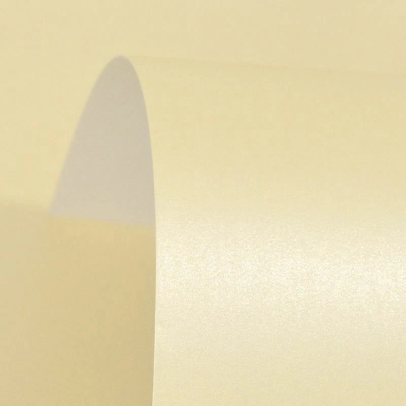 50 cartes A4 crème nacrée scintillante perle 280 g/m² ~ double face