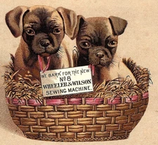 1880s Wheeler & Wilson Sewing Machine Adorable Puppy's In A Woven Basket Dogs