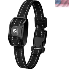 Replacement Receiver for RS2A/RS2B Dog Training Collar - Lightweight & Durable