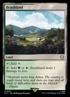 MTG - BRUSHLAND - Lord of the Rings Co (R)