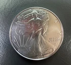 2025 Walking Liberty American Eagle One Dollar 1 Oz. Fine Silver Coin