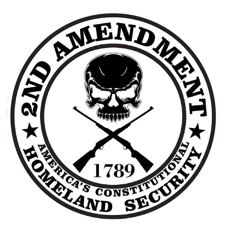 2nd Amendment Gun Rights USA Car Truck Window Bumper Vinyl Sticker Decal 02