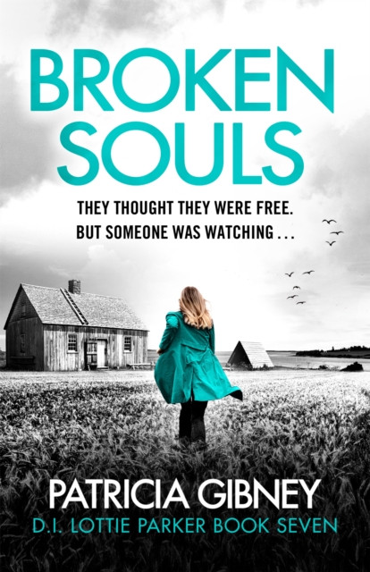 Broken Souls by Patricia Gibney (Paperback Book)