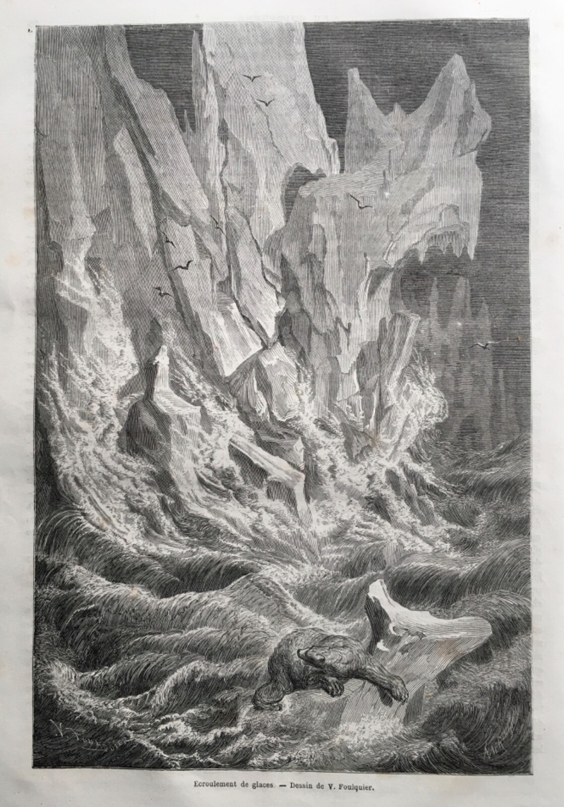 Picture 14 of 14