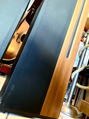 Paire D'enceintes Apogee Acoustics Centaur – 2 Voies, 200W RMS – Fabriquées Aux États-Unis