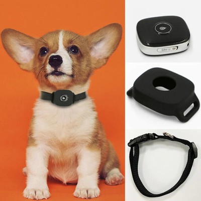 verizon gps pet tracker