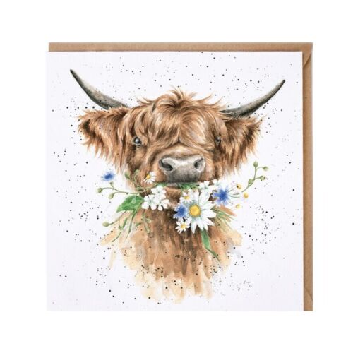 Highland Cow Greeting Card - Wrendale Designs Country Set Daisy Coo - Picture 1 of 2