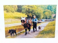 Man Walking His Barge Horse & Dogs At Caldon Canal Nr Leek  Vintage Postcard