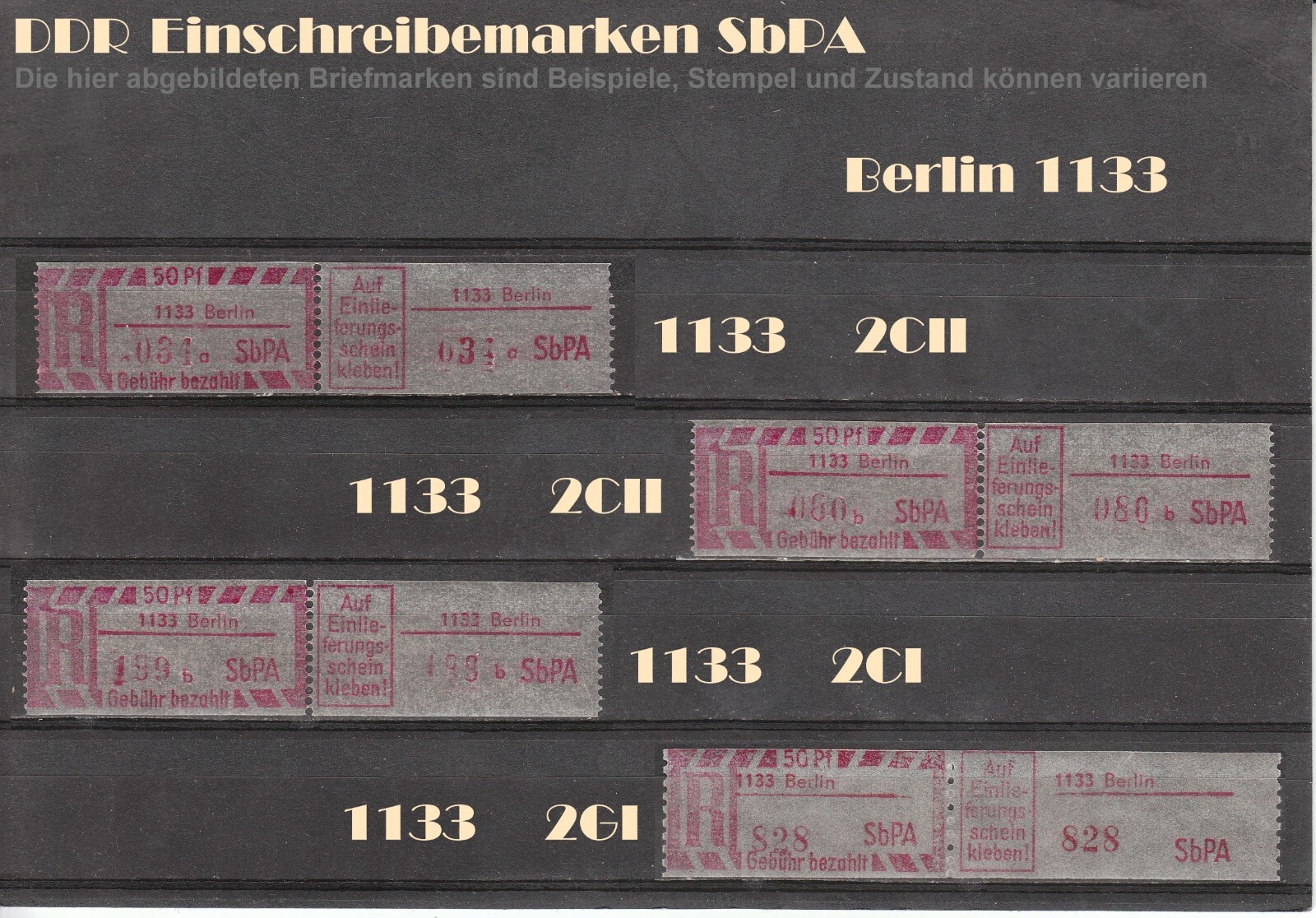Bild 6 von 19