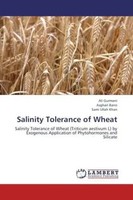 Ali Gurmani (U. A.) | Salinity Tolerance Of Wheat | Taschenbuch | Englisch
