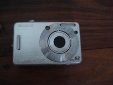 Sony Cyber-shot DSC-W50 6.0MP Digital Camera - Silver