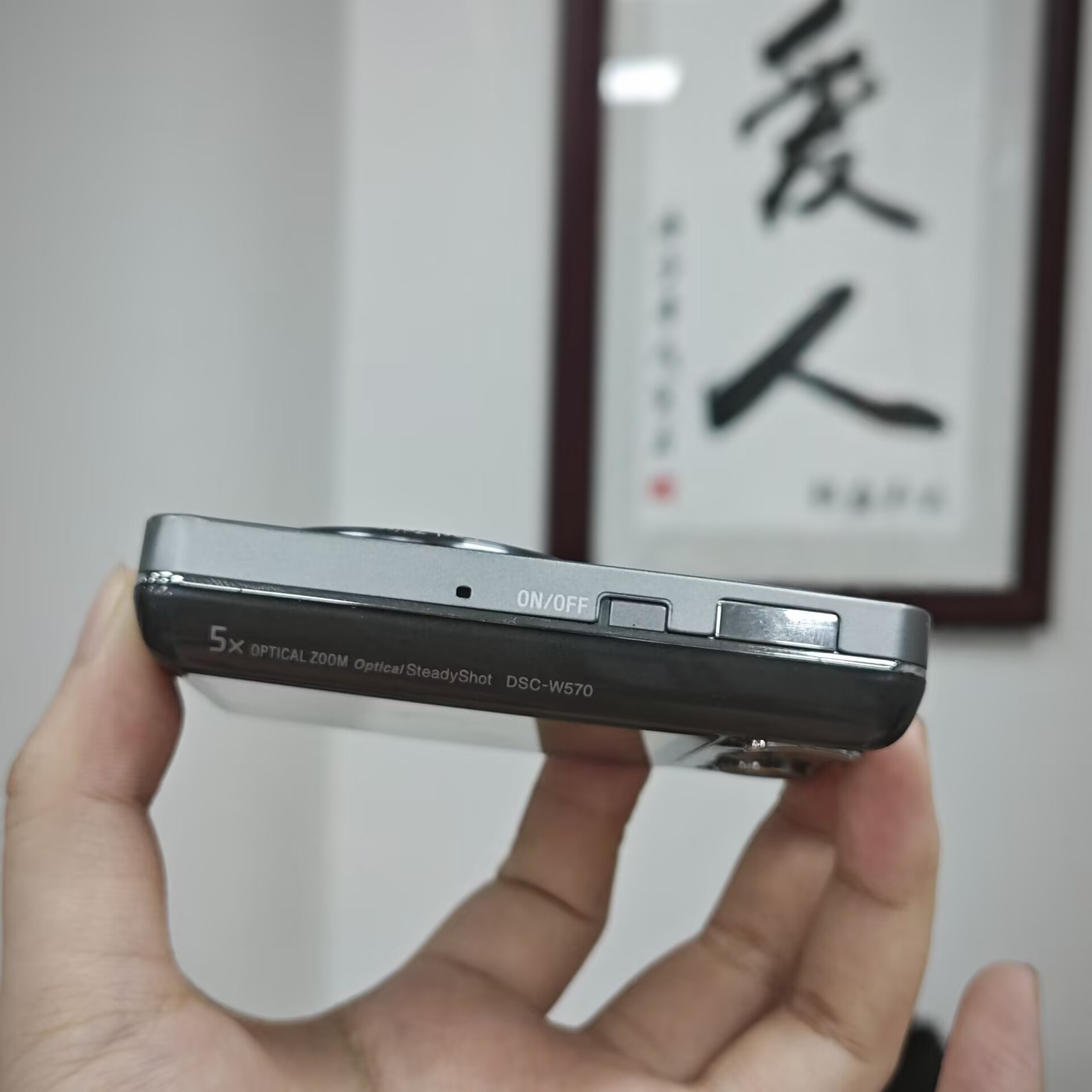 SONY Cyber-shot DSC-W570 Silver Digital Camera 16.1 MP 5x Optical Zoom English