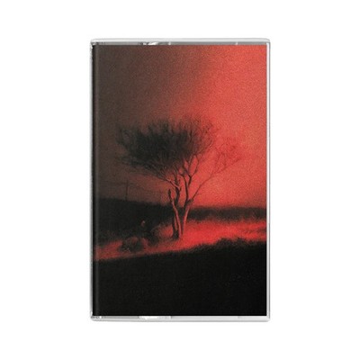   Joji - Piss In The Wind Cassette Tape Limited & Numbered /1000 PRESALE  