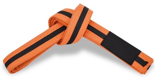 Martial Sports Premium Brazilian Jiu Jitsu Belts Solid & Striped - Free Shipping - Picture 17 of 17