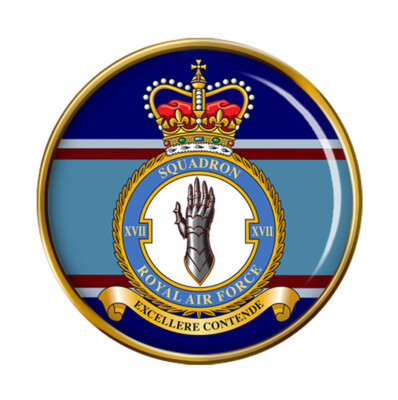 17 Squadron, RAF Anstecknadel